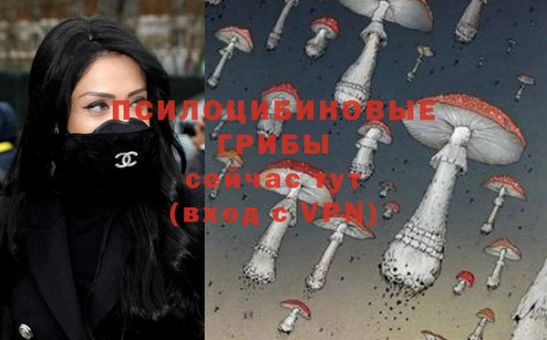 метадон Новозыбков