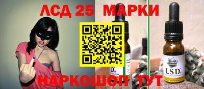 мдпв Гатчина
