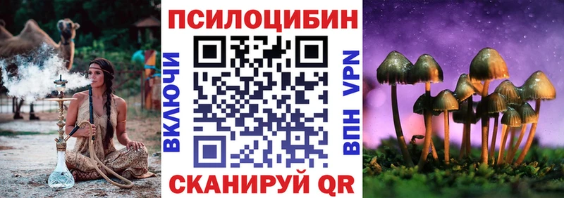 Псилоцибиновые грибы Psilocybe  Курск 
