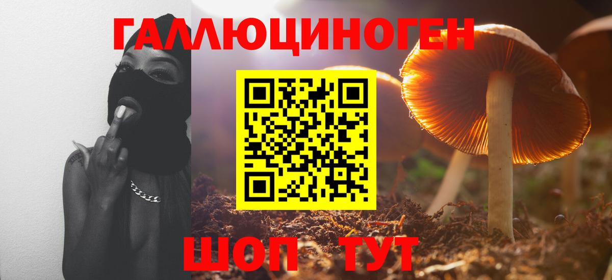 Галлюциногенные грибы Psilocybe  Галлюциногенные грибы GOLDEN TEACHER  Курск  Вход с VPN 